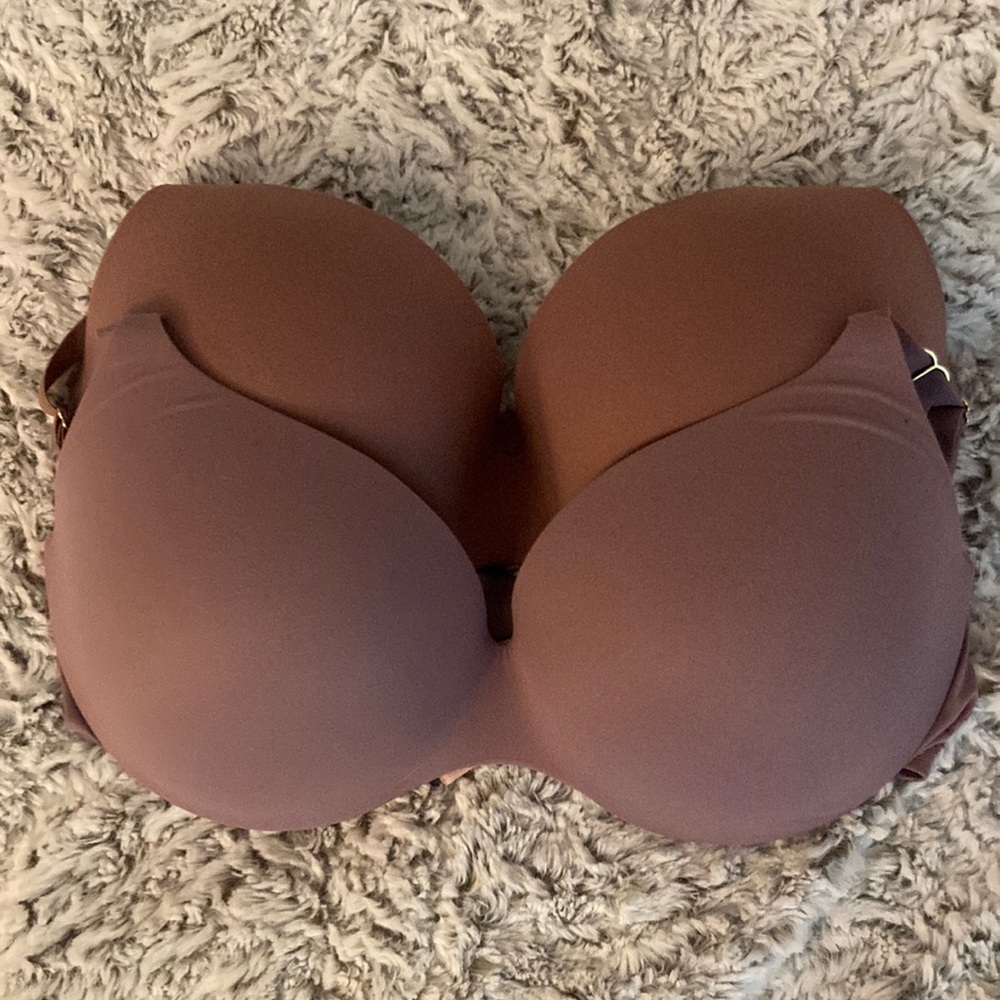 VS incredible bra